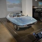 Peterson_179 (July 28, 2019)